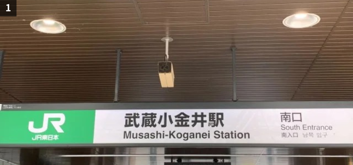 道なりの写真
